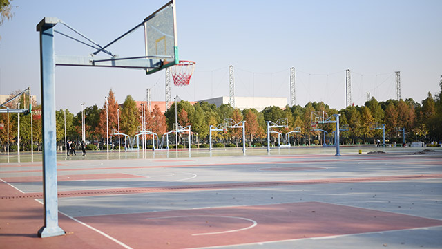 南京經(jīng)貿(mào)學(xué)院硅PU球場(chǎng)地坪材料案例！